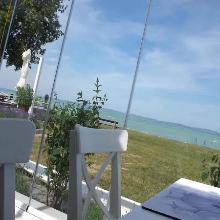 In - Balaton 27759 希欧福克