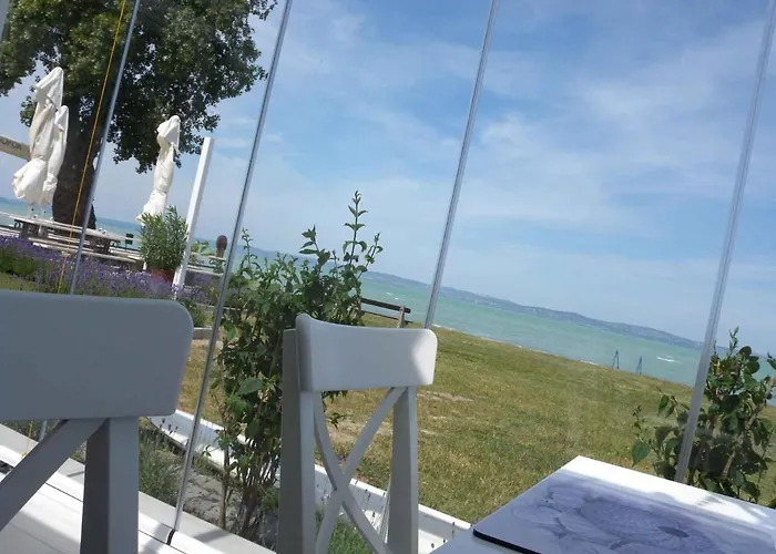 In - Balaton 27759 希欧福克